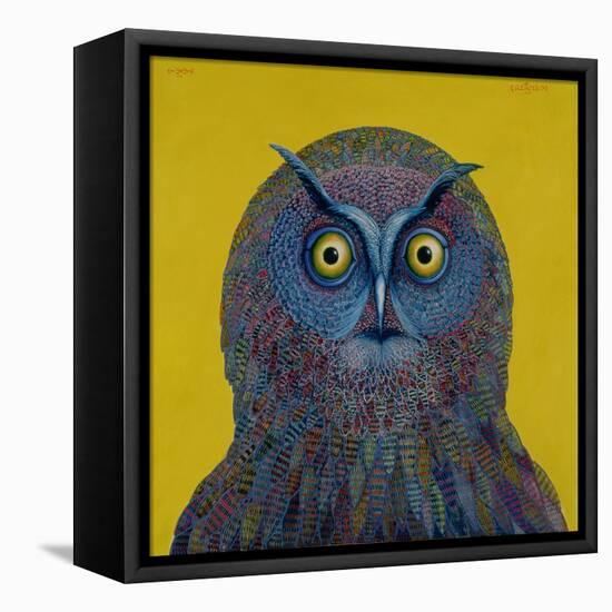 Long-Eared Owl, 1996-Tamas Galambos-Framed Stretched Canvas