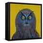 Long-Eared Owl, 1996-Tamas Galambos-Framed Stretched Canvas