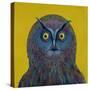 Long-Eared Owl, 1996-Tamas Galambos-Stretched Canvas
