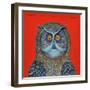 Long-Eared Owl, 2015-Tamas Galambos-Framed Giclee Print