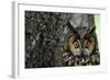 Long-Eared Owl with Suprised Expression-W. Perry Conway-Framed Photographic Print