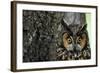 Long-Eared Owl with Suprised Expression-W. Perry Conway-Framed Photographic Print