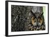 Long-Eared Owl with Suprised Expression-W. Perry Conway-Framed Photographic Print