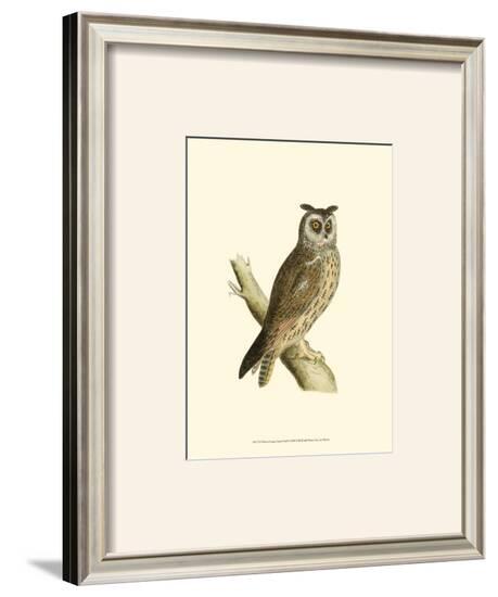 Long Eared Owl-Reverend Francis O^ Morris-Framed Art Print