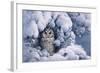 Long-Eared Owl-Harro Maass-Framed Giclee Print