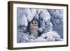 Long-Eared Owl-Harro Maass-Framed Giclee Print
