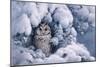 Long-Eared Owl-Harro Maass-Mounted Giclee Print