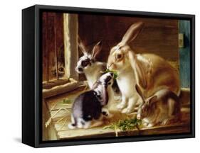 Long-Eared Rabbits in a Cage, Watched by a Cat-Horatio Henry Couldery-Framed Stretched Canvas