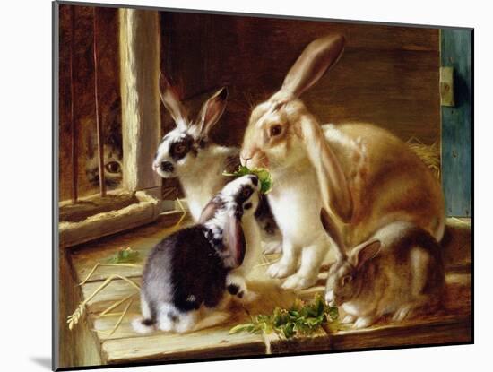 Long-Eared Rabbits in a Cage, Watched by a Cat-Horatio Henry Couldery-Mounted Giclee Print