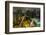 Long exposure night photography during a foggy night in downtown Sao Paulo, Brazil.-James White-Framed Photographic Print