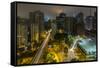 Long exposure night photography during a foggy night in downtown Sao Paulo, Brazil.-James White-Framed Stretched Canvas