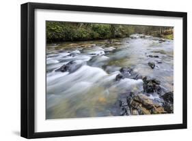 Long Exposure of a Mountain Stream in North Carolina-James White-Framed Photographic Print