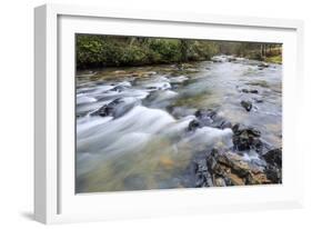 Long Exposure of a Mountain Stream in North Carolina-James White-Framed Photographic Print