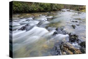 Long Exposure of a Mountain Stream in North Carolina-James White-Stretched Canvas