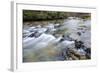 Long Exposure of a Mountain Stream in North Carolina-James White-Framed Photographic Print