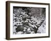 Long exposure of river in winter in Squamish, British Columbia, Canada-Kristin Piljay-Framed Photographic Print