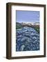 Long Exposure Technique to Capture the Running Water of a Stream in Valmalenco-ClickAlps-Framed Photographic Print