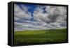 Long Fence Running through the Wheat Field-Terry Eggers-Framed Stretched Canvas