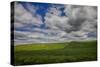 Long Fence Running through the Wheat Field-Terry Eggers-Stretched Canvas