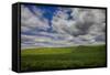 Long Fence Running through the Wheat Field-Terry Eggers-Framed Stretched Canvas