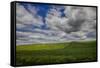 Long Fence Running through the Wheat Field-Terry Eggers-Framed Stretched Canvas