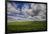 Long Fence Running through the Wheat Field-Terry Eggers-Framed Premium Photographic Print