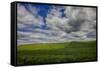 Long Fence Running through the Wheat Field-Terry Eggers-Framed Stretched Canvas