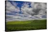 Long Fence Running through the Wheat Field-Terry Eggers-Stretched Canvas