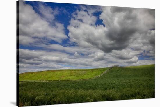 Long Fence Running through the Wheat Field-Terry Eggers-Stretched Canvas