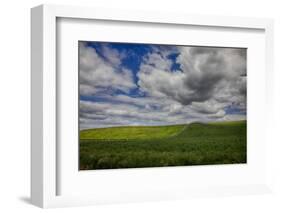 Long Fence Running through the Wheat Field-Terry Eggers-Framed Photographic Print