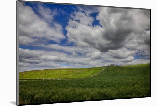 Long Fence Running through the Wheat Field-Terry Eggers-Mounted Photographic Print