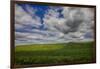 Long Fence Running through the Wheat Field-Terry Eggers-Framed Photographic Print