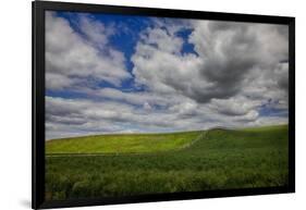 Long Fence Running through the Wheat Field-Terry Eggers-Framed Photographic Print