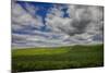 Long Fence Running through the Wheat Field-Terry Eggers-Mounted Photographic Print