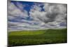 Long Fence Running through the Wheat Field-Terry Eggers-Mounted Photographic Print