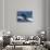 Long-Finned Pilot Whales-DLILLC-Stretched Canvas displayed on a wall