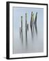 Long Forgotten-Craig Roberts-Framed Photographic Print