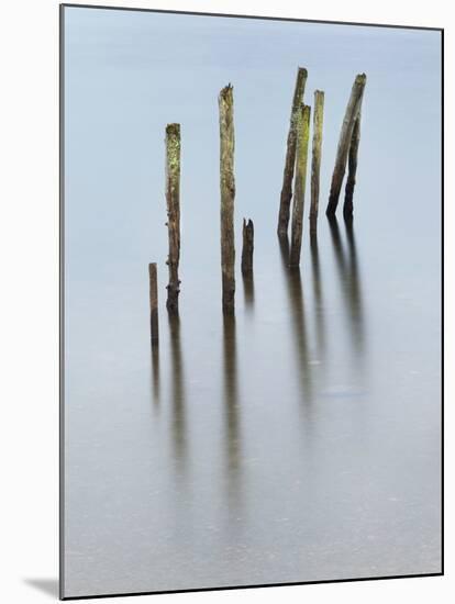 Long Forgotten-Craig Roberts-Mounted Photographic Print