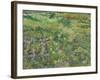 Long Grass with Butterflies, 1890-Vincent van Gogh-Framed Giclee Print