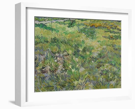 Long Grass with Butterflies, 1890-Vincent van Gogh-Framed Giclee Print