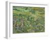 Long Grass with Butterflies, 1890-Vincent van Gogh-Framed Giclee Print