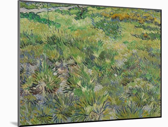 Long Grass with Butterflies, 1890-Vincent van Gogh-Mounted Giclee Print