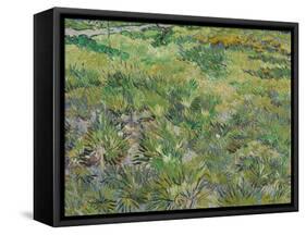 Long Grass with Butterflies, 1890-Vincent van Gogh-Framed Stretched Canvas