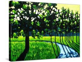 Long Green Shadows II-Patty Baker-Stretched Canvas