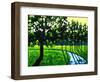 Long Green Shadows II-Patty Baker-Framed Art Print