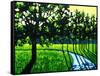 Long Green Shadows II-Patty Baker-Framed Stretched Canvas