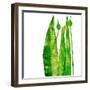 Long green things' mono print-Sarah Thompson-Engels-Framed Giclee Print