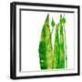 Long green things' mono print-Sarah Thompson-Engels-Framed Giclee Print