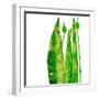 Long green things' mono print-Sarah Thompson-Engels-Framed Giclee Print