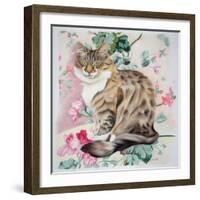 Long Hair Tabby-Anne Robinson-Framed Giclee Print